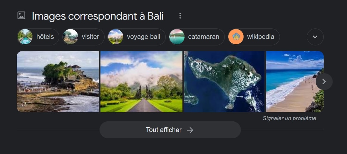 Exemple de fonctionnalités des SERP Google : le bloc image