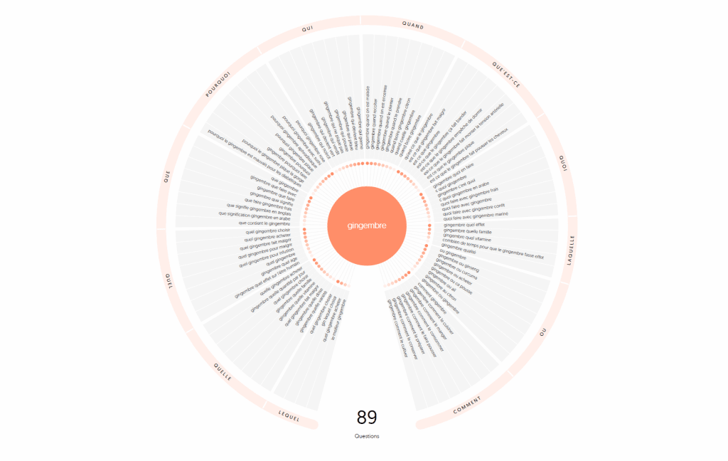 Exemples de mots-clés suggérés par Answerthepublic pour la requête source gingembre