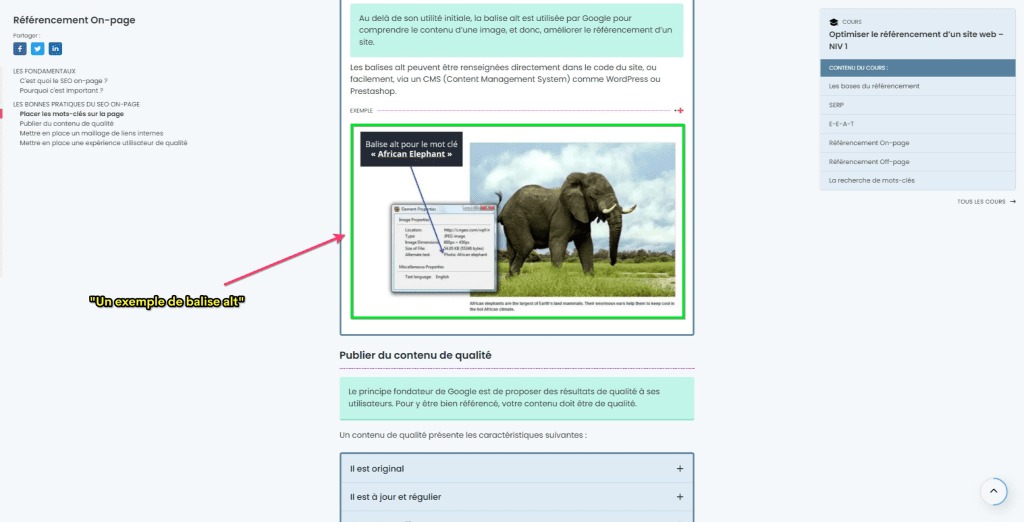 Un exemple de balise alt optimisée autour du mot-clé "balise alt" par savoir.plus