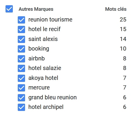 Exemples de catégorie de mots-clés suggérées par Google Keyword Planner