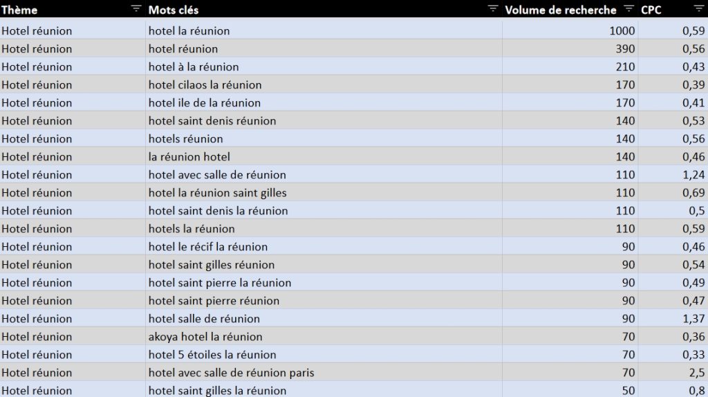 Extrait des mots-clés identifiés autour du thème "hotel réunion"